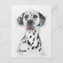 Suche nach dog portrait postkarten Bezaubernd