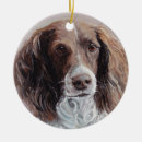 Suche nach englischer springer spaniel ornamente Welpe
