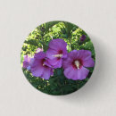 Suche nach foto der blume buttons Hübsch