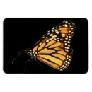 Suche nach motten magnete Tiere