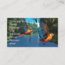 Suche nach bunte federn visitenkarten Vogelvogel