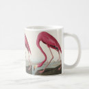 Suche nach audubon tassen John james audubon