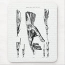 Suche nach anatomie mousepads Medizin