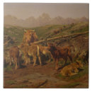 Suche nach kalb fliesen Nutztiere