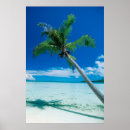 Suche nach tropischer strand poster Landschaft