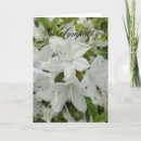 Suche nach azalee karten Weiß