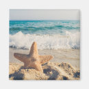 Suche nach seestern magnete Sandstrand