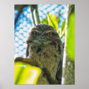 Suche nach blaue eule poster Natur