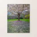 Suche nach japanische kirsche puzzle Frühling