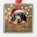 Suche nach cocker spaniel ornamente Weihnachtsmannmütze
