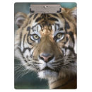 Suche nach zoo klemmbrett Tiger