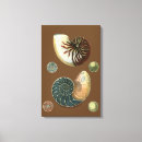 Suche nach muscheln leinwandbilder Meer