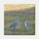 Suche nach kran magnete Fotografie