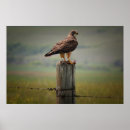 Suche nach saskatchewan poster Modern