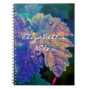 Suche nach vibrierende farbe Neon