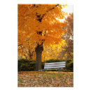 Suche nach bunter baum poster Orange