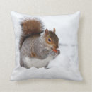 Suche nach nuss kissen Wildtiere