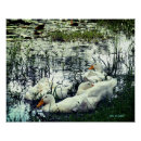 Suche nach wildtiere poster Wanddekor