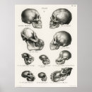 Suche nach schwarzer affe poster Vintag