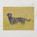 Suche nach vom monat postkarten Fotografie