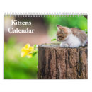 Suche nach kätzchen ich kalender Natur