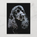 Suche nach cocker spaniel hunde postkarten Hundefreund