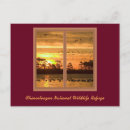 Suche nach chincoteague postkarten Virginia