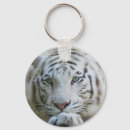 Suche nach weißer tiger schlüsselanhänger Natur