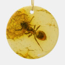 Suche nach ameisen ornamente Wanzen