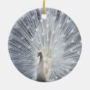 Suche nach pfau ornamente Vogel
