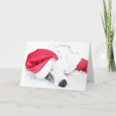 Suche nach peitsche karten Whippet