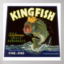 Suche nach kingfish poster Königsfisch