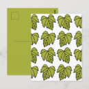 Suche nach grüne reben postkarten Weinreben