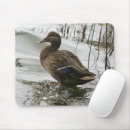 Suche nach ente mousepads Vogelvogel