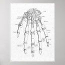 Suche nach anatomie poster Diagramm