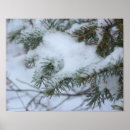 Suche nach nadel poster Natur