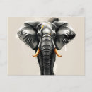 Suche nach stoßzähne postkarten Elefant