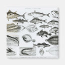 Suche nach ichthyologie Schoolfish