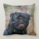 Suche nach headshot kissen Carlin
