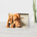 Suche nach motiv karten Glücklich