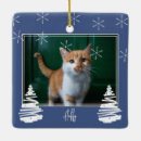 Suche nach schwarze katzen ornamente Weihnachtsbaum