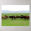 Suche nach galopp poster Natur