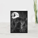 Suche nach lustige labrador karten Skelett tanz