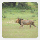 Suche nach panthera aufkleber Wild lebende tiere