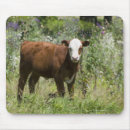 Suche nach hereford mousepads Landwirtschaft