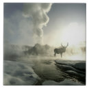 Suche nach yellowstone fliesen Ni