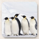 Suche nach kaiser pinguin untersetzer Wild lebende tiere
