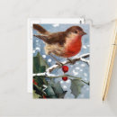 Suche nach wintervögel postkarten Vogel