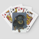 Suche nach rottweiler spielkarten Welpe