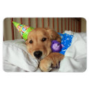 Suche nach partyhut magnete Hund
